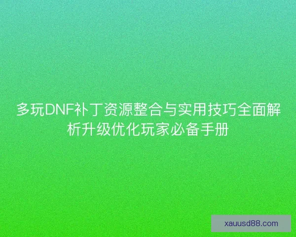 多玩DNF补丁资源整合与实用技巧全面解析升级优化玩家必备手册